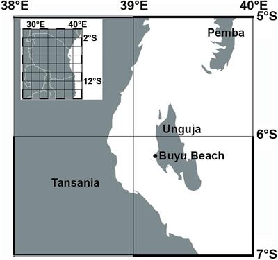 Endolithic Algae Affect Modern Coral Carbonate Morphology and Chemistry